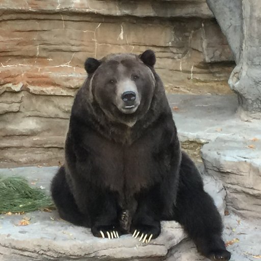 RegPark1's profile picture. 