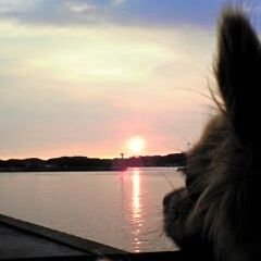 maru◯ (@fdc06e26dabd493) / Posts / X