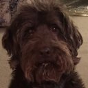 Rebecca Wade - @Reba_Wade - Twitter