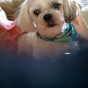 Lisa mantooth - @01pebbles - Twitter