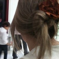 Louise faleiros (@loufaleiros) 's Twitter Profile