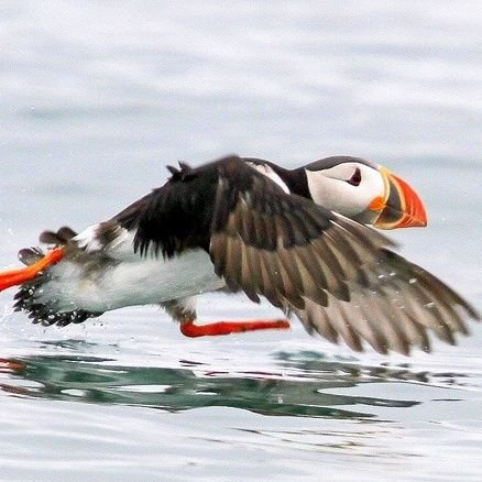 T_Mottershead's profile picture. 