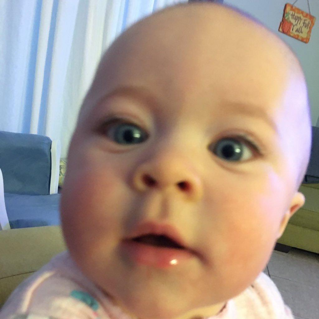 Kraft1Mark's profile picture. 8th grade US History Teacher