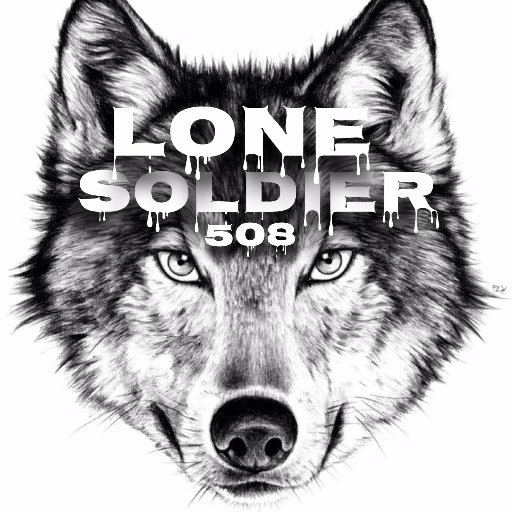 Streamer 🎮👾  I play on PS4. Right now I stream a lot of @Fortnite instagram; LONESOLDIER508 YouTube: LONESOLDIER508         Twitch: LONESOLDIER508
HIT THE SUB!