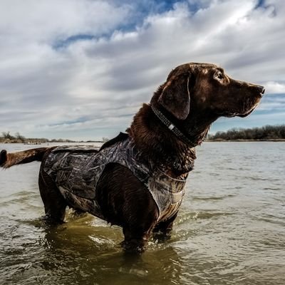 Profile Picture of Flat River Outdoors (@DustinKufeldt) on Twitter