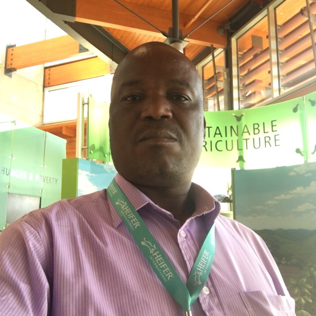 KainosMusvinu's profile picture. 