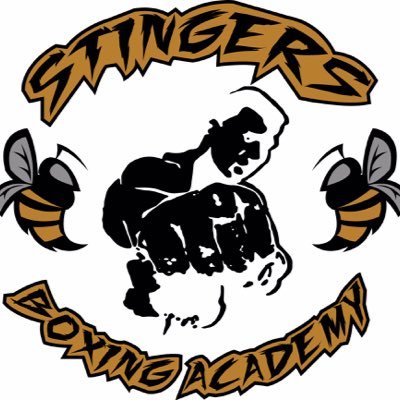 Stingers Boxing Academy is committed to the highest quality of Olympic, Professional style boxing and personal training.