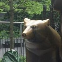 bear 🚲(@U_arctos) 's Twitter Profile Photo