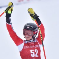 stef fleck (@stef_fleck) 's Twitter Profile
