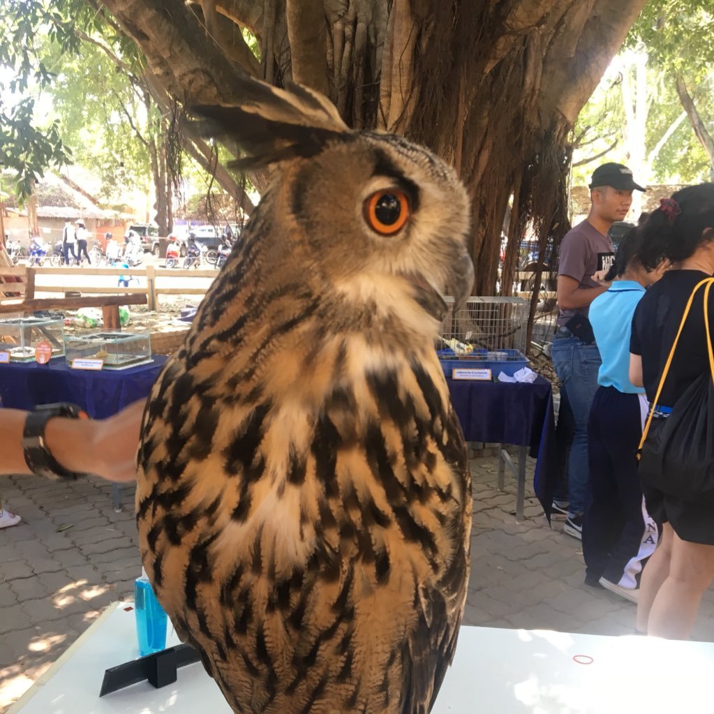 impimta's profile picture. Chemist who loves all kind of discussions 💎💖