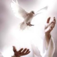 the lord is my sheperd is hall not want psalm 23:1 :)