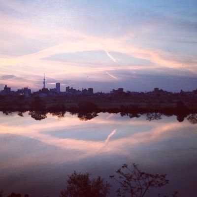 twilight_river's profile picture. 