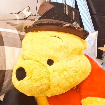 ぽて フルート吹き 私はディズニーリゾートで帰り際より早いタイミングでぬいぐるみを買って持ち歩く 人の気持ちがわからなかった だって ぬいぐるみはかさばるしアトラクションに乗るときに邪魔だ なんでわざわざそんな不自由なことを と軽蔑すらしてい