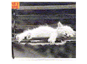 malcolm mayfield - @gnotella - Twitter