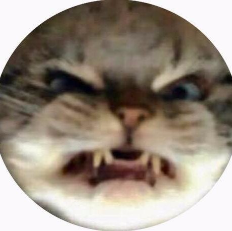 Stardyn the Cat *Bahamut is not welcomed here*さんのプロフィール画像