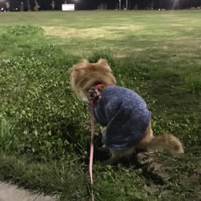 ktak87215486's profile picture. 頼むよxrp☆ 握力マックスw