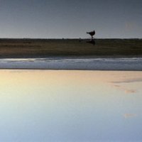 Thomas (@tmsjsn) 's Twitter Profile