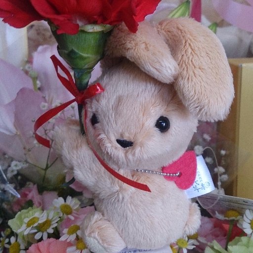 blux_f2's profile picture. 好きなもの→好きなもの