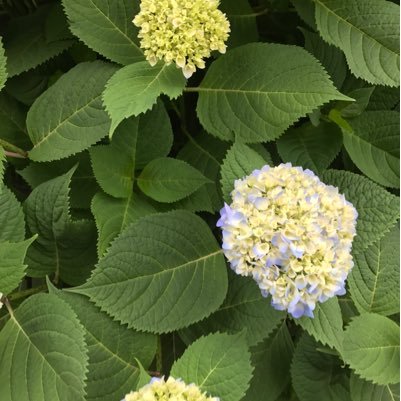 Hopeforfuture7's profile picture. 