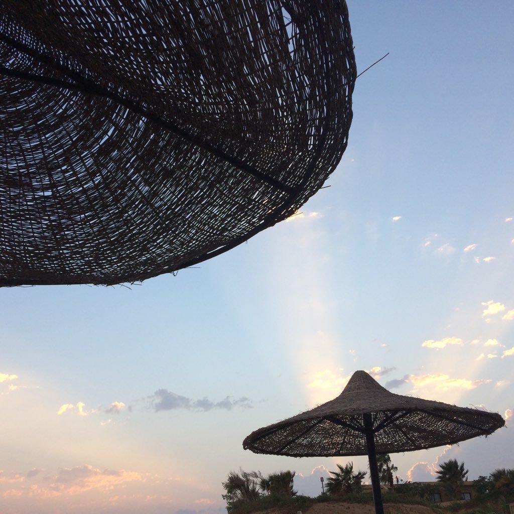 britvr's profile picture. 31 year old Dutchie & University Grad. Life & nature enjoyer, healthy eating, travelling, interior styling, Design, music, books, mindfulness, self development