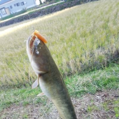 こんにちは☀️千葉県の南端付近。 好きなもの···焼肉・ワイン・柚子胡椒 〇現趣味:フットサル・ルアー釣り全般、水泳、スノボ・たまにランニング・筋トレ・ドライブ 、月光浴〇やりたい:サーフィン、sup・楽器・料理、BBQ・ロードバイク・カメラ・ゴルフ・(ツーリング)・ボードゲーム、麻雀・山登り・家庭菜園・ ペット