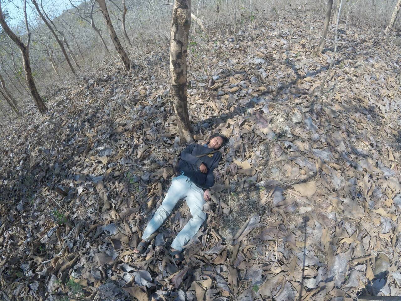 afrizal1salasa's profile picture. human.
Love cute animal