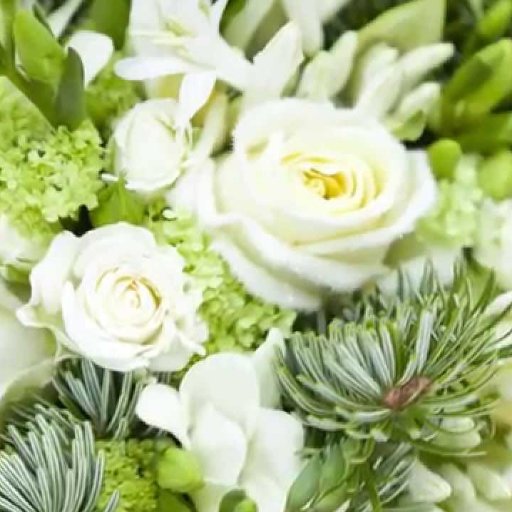 jeanlucdupont7's profile picture. 