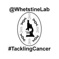 Whetstine Lab (@whetstinelab) 's Twitter Profile Photo Whetstine Lab (@whetstinelab) 's Twitter Profile Photo