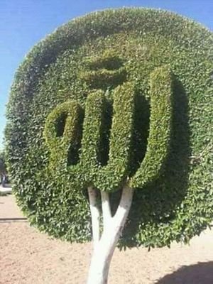 ( اللهم اجعل عملي خالص لوجهك الكريم وفي رضاك )( مجموعة ال بردان )
