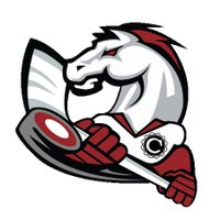 Don Mills Mustangs (@gthlmustangs) 's Twitter Profile