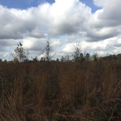 kdral03's profile picture. 