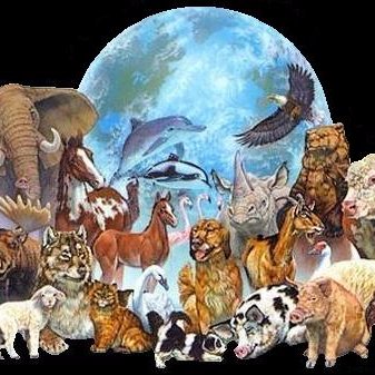 Apoyamos a los animales y respetamos la Naturaleza #NOalmaltratoanimal #Animaleslibres #AmantesdelosAnimales #RespetoporlaNaturaleza