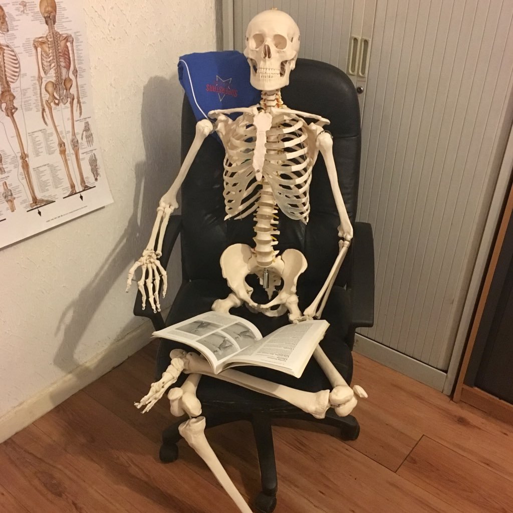 exersci's profile picture. 