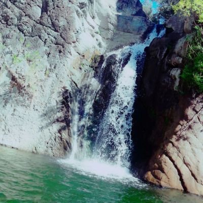 parlakelektirik's profile picture. 