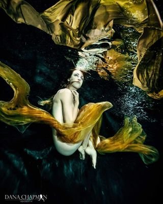 DanaCha55497658's profile picture. 