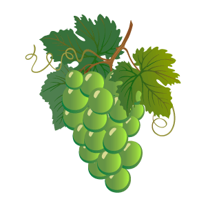 VineyardTrips's profile picture. Visit, rate & review your favorite local vineyards & wineries.