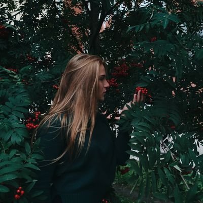 pollykasat's profile picture. 