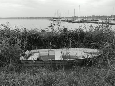 BlnZipp's profile picture. 