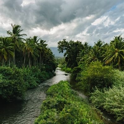 knottsorr's profile picture. it is all good..