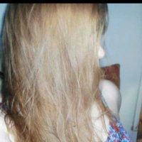 Brigid's Daughter (@harpbe_nimble) 's Twitter Profile