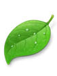 Facebook
http://t.co/2NWjEgqar2