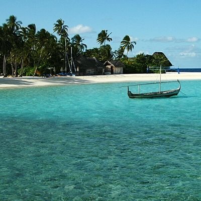 lutvia_azizah's profile picture. 