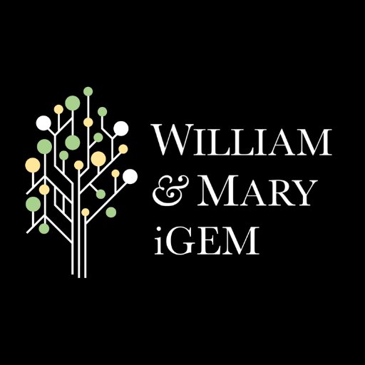 wmigem's profile picture. We're the undergraduate iGEM team from The College of William & Mary. igem@wm.edu