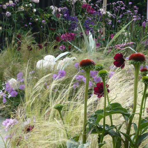 Landscape and Garden Design and suppliers of Big architectural plants and pots.