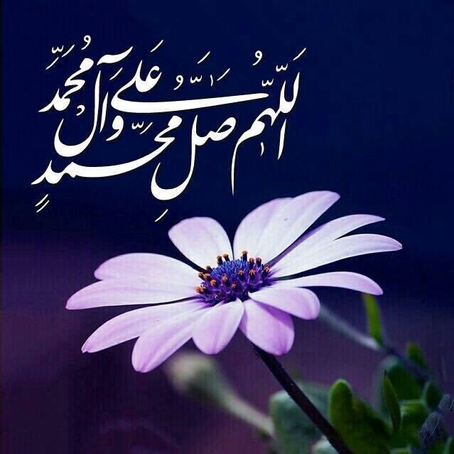 313mostafa313's profile picture. ياصاحب الزمان ادركني