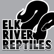 elkriverreptile's profile picture. Investment Quality Ball Pythons and Kenyan Sand Boas. Follow us on Instagram - @elkriverreptile