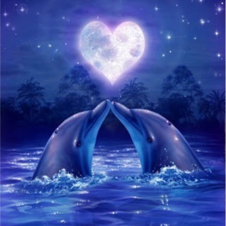 yuko82642020's profile picture. 初めまして 気軽に絡んでくださいね(*´︶`*)