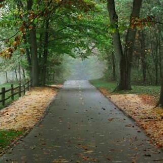 indhuraju1's profile picture. I am indhumathi raju