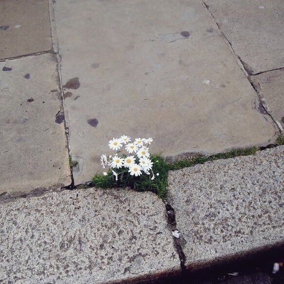 i_am_Cloudy's profile picture. 