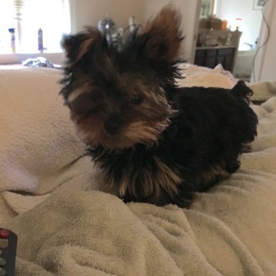 jan_jsz's profile picture. Retired DP defense trial attorney, animal lover